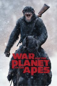 War for the Planet of the Apes (2017) Hindi + English – Full Movie Download & Watch FREE – MRBOBD.COM